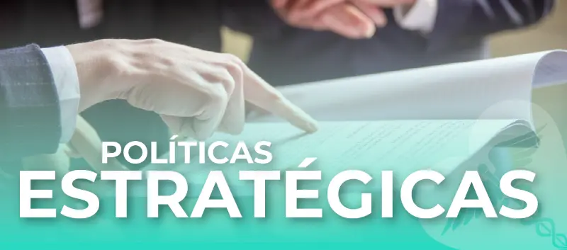 politicas estrategicas