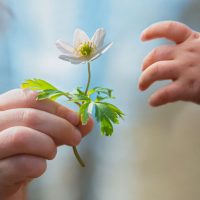 Valor-de-la-honestidad